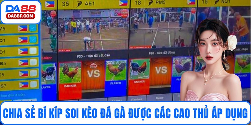 Chia sẻ bí kíp soi kèo đá gà được các cao thủ áp dụng