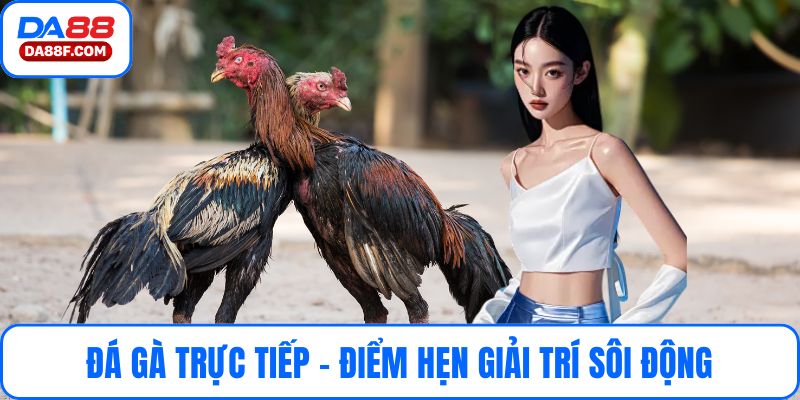 Đá Gà Trực Tiếp – Điểm Hẹn Giải Trí Sôi Động Cho Dân Cá Cược