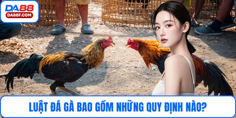 Luật đá gà bao gồm những quy định nào?