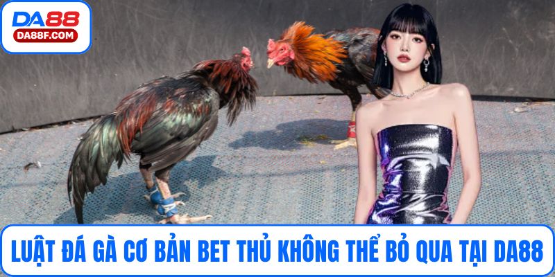 Luật Đá Gà Cơ Bản Bet Thủ Không Thể Bỏ Qua Tại Da88