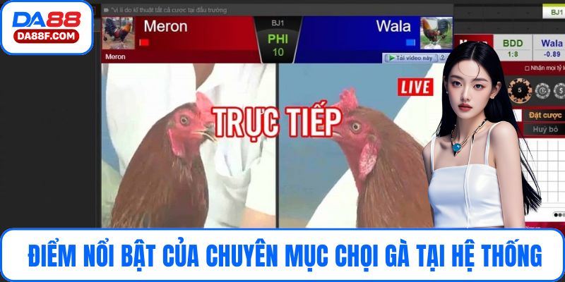 Một vài điểm nổi bật của chuyên mục chọi gà tại hệ thống