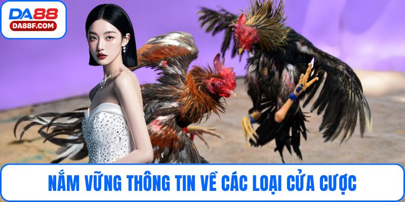 Nắm vững thông tin về các loại cửa cược