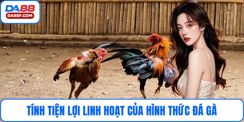 Tính tiện lợi linh hoạt của hình thức đá gà