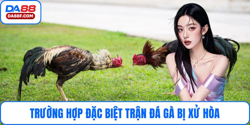 Trường hợp đặc biệt trận đá gà bị xử hòa