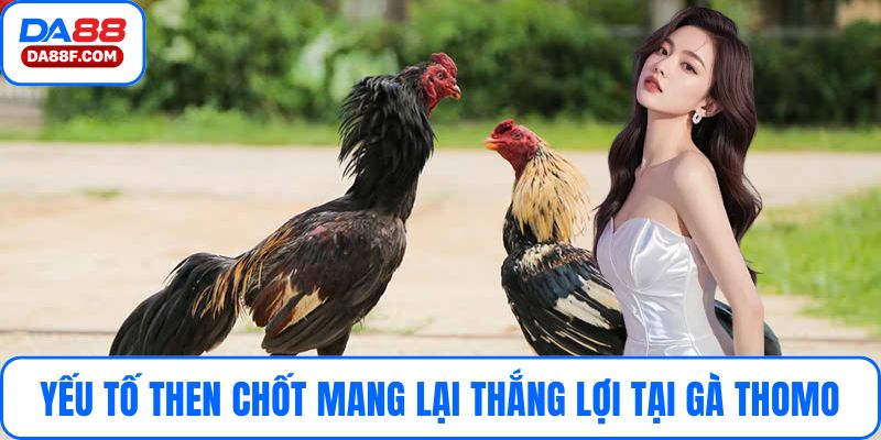 Yếu tố then chốt mang lại thắng lợi tại gà Thomo